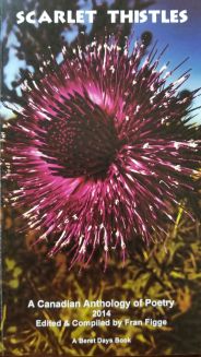 Scarlet Thistles cover2